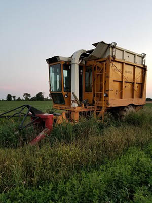 Field Queen harvester for salvage. 